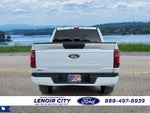 2025 F-150 Thumbnail 4