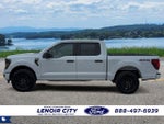 2025 F-150 Thumbnail 6
