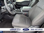 2025 F-150 Thumbnail 10