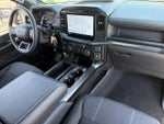2026 F-150 Thumbnail 12