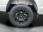 2024 F-150 Thumbnail 11