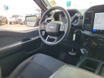 2024 F-150 Thumbnail 13