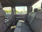2024 F-150 Thumbnail 14