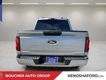 2024 F-150 Thumbnail 6