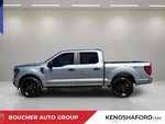 2024 F-150 Thumbnail 8