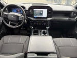 2024 F-150 Thumbnail 15