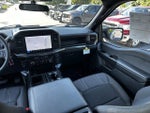 2024 F-150 Thumbnail 17