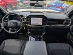 2025 F-150 Thumbnail 6