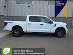 2025 F-150 Thumbnail 4