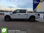 2025 F-150 Thumbnail 10