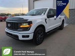 2025 F-150 Thumbnail 11