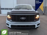 2025 F-150 Thumbnail 12