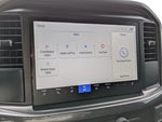 2025 F-150 Thumbnail 8