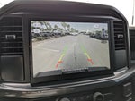 2025 F-150 Thumbnail 9