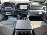 2024 F-150 Thumbnail 17
