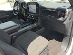 2024 F-150 Thumbnail 10