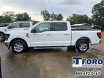 2025 F-150 Thumbnail 5