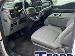 2025 F-150 Thumbnail 10