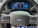 2025 F-150 Thumbnail 12