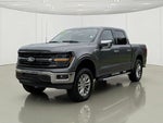 2025 F-150 Thumbnail 12