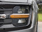 2025 F-150 Thumbnail 13