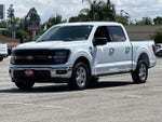 2025 F-150 Thumbnail 7