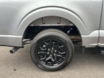 2024 F-150 Thumbnail 9
