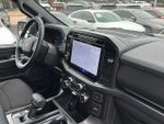 2024 F-150 Thumbnail 16
