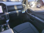 2024 F-150 Thumbnail 16