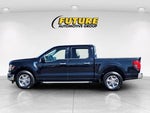 2025 F-150 Thumbnail 7