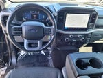 2025 F-150 Thumbnail 9