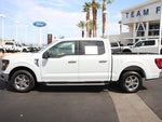 2025 F-150 Thumbnail 4