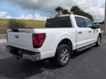 2025 F-150 Thumbnail 5