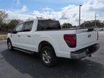 2025 F-150 Thumbnail 7