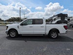 2025 F-150 Thumbnail 8