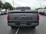 2025 F-150 Thumbnail 8
