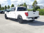 2024 F-150 Thumbnail 4