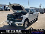 2024 F-150 Thumbnail 13