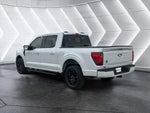 2025 F-150 Thumbnail 11