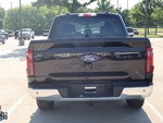 2025 F-150 Thumbnail 4