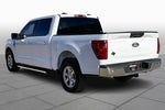 2024 F-150 Thumbnail 11