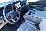 2024 F-150 Thumbnail 17