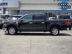 2025 F-150 Thumbnail 3