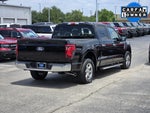 2025 F-150 Thumbnail 6