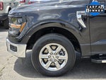 2025 F-150 Thumbnail 8