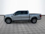 2024 F-150 Thumbnail 8
