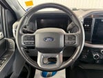 2025 F-150 Thumbnail 13