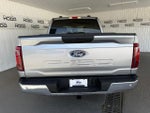 2025 F-150 Thumbnail 19