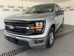 2025 F-150 Thumbnail 24
