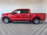 2024 F-150 Thumbnail 20